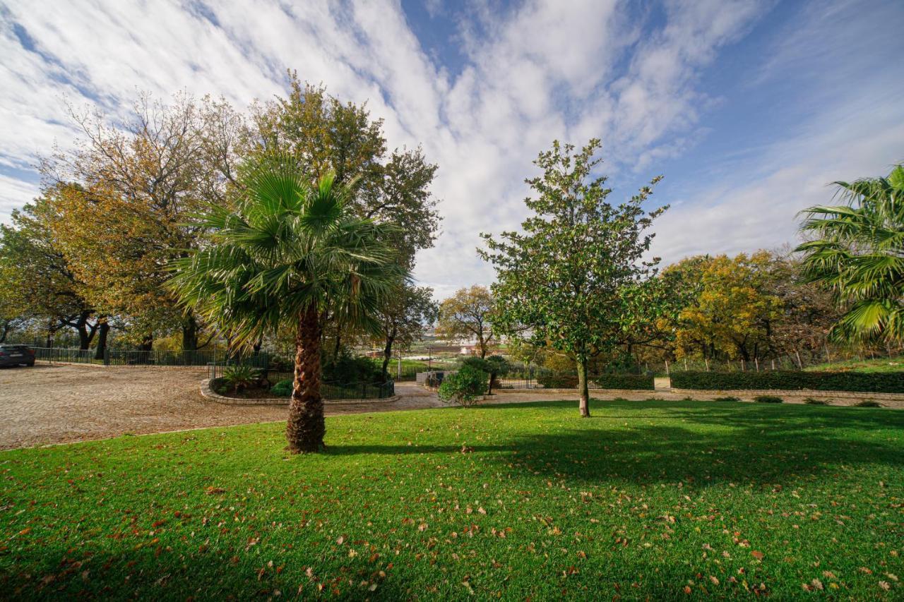 Aria - Villa Di Campagna Montecorvino Rovella Exterior foto